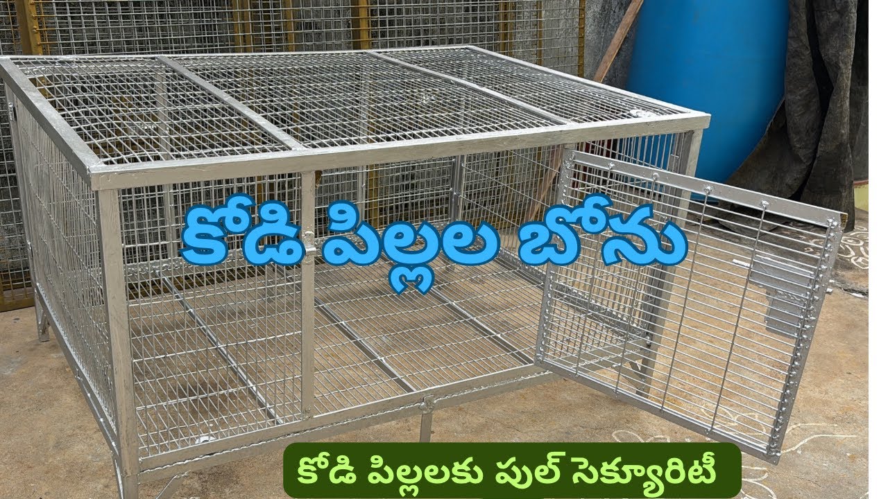 30 January 2026 కోడి పిల్లల బోను కోడిపిల్లలకు పుల్‌ సెక్యూరిటీ #9640256839