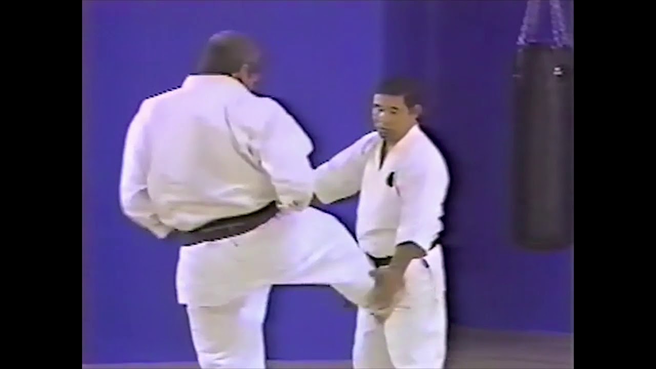 Goju ryu kata. Sanseiru. Bunkai