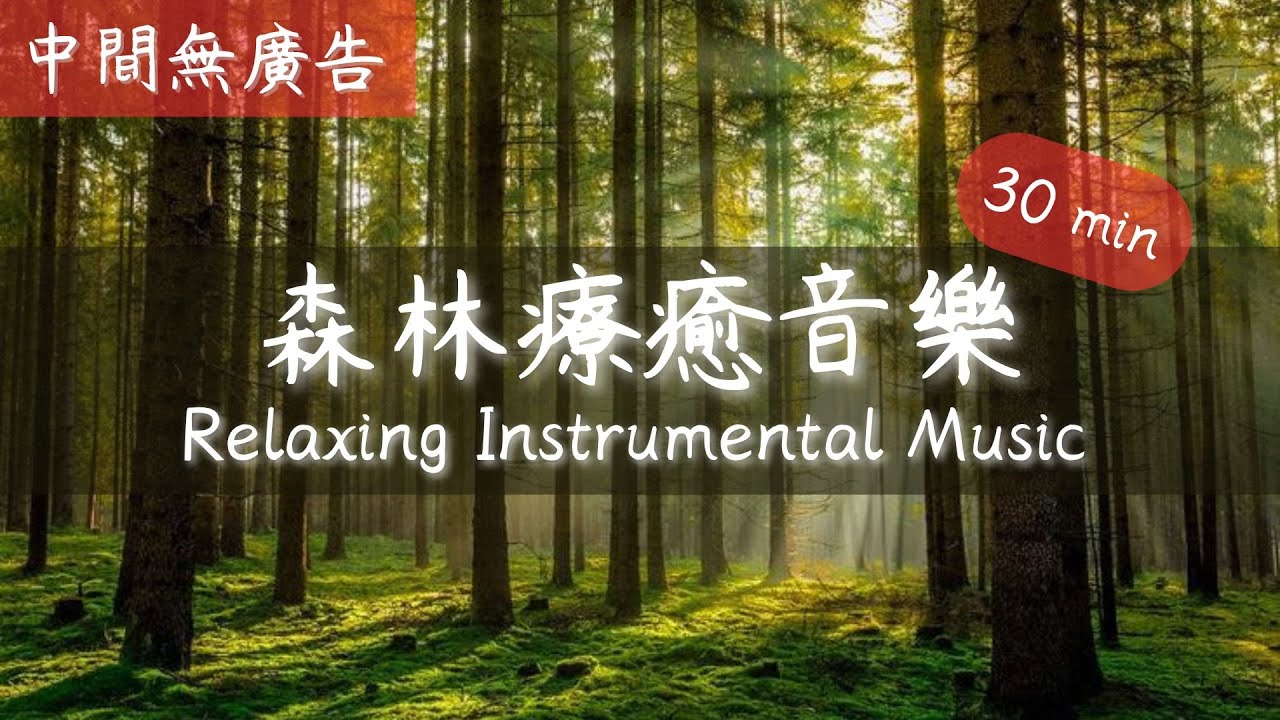 30 Minute - Relaxing Instrumental Music 中間無廣告森林療癒音樂