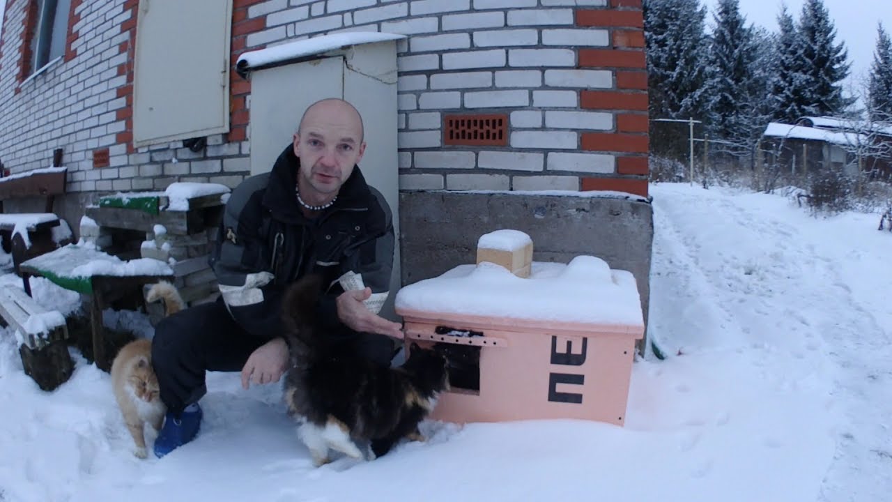 Кошкин дом. Новоселье, спустя 3 года.