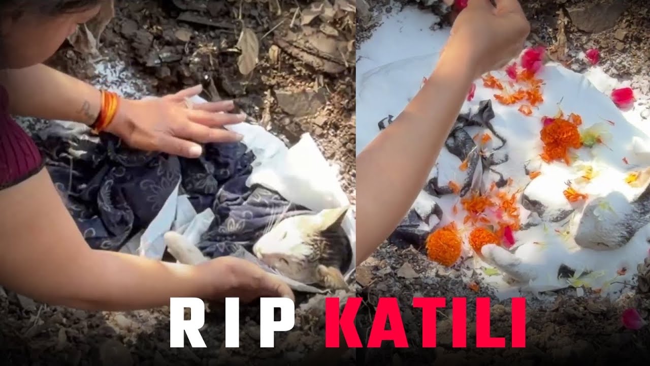 Kateeli passed Away💔🙏