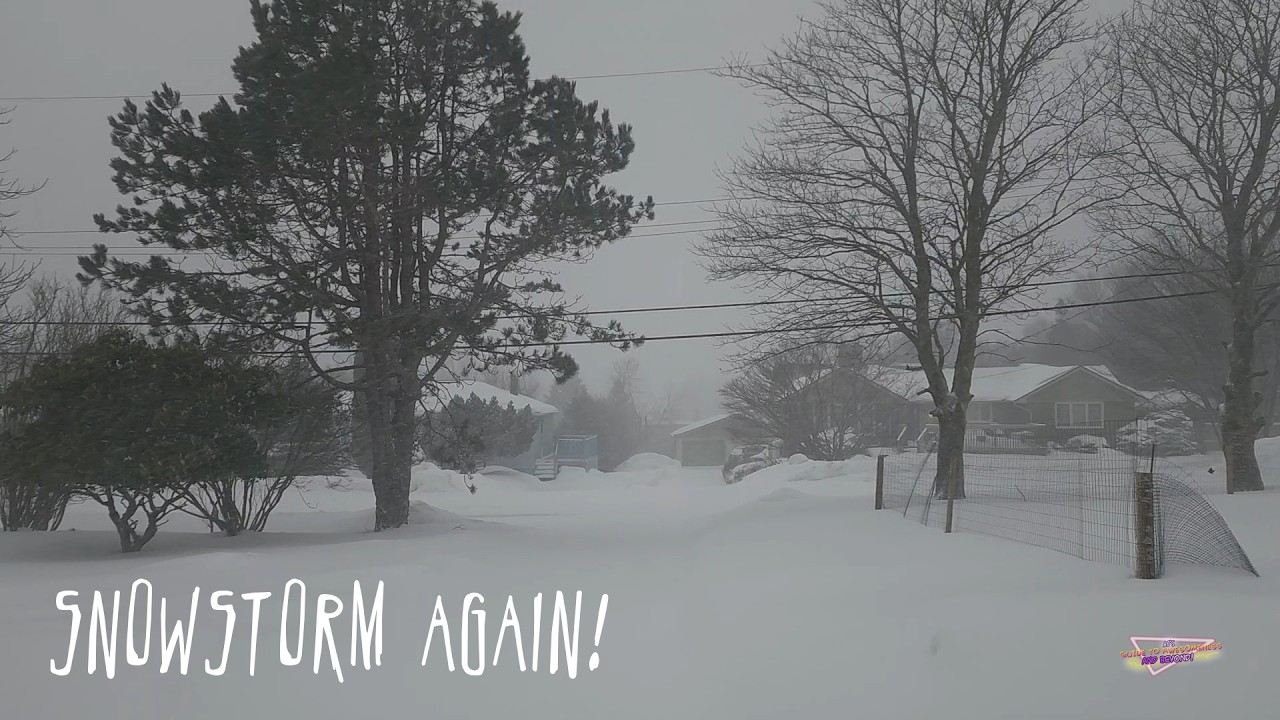 Snowstorm Again! - Tim Horton's Roll Up Is Back / Interesting Chocolates At Walmart