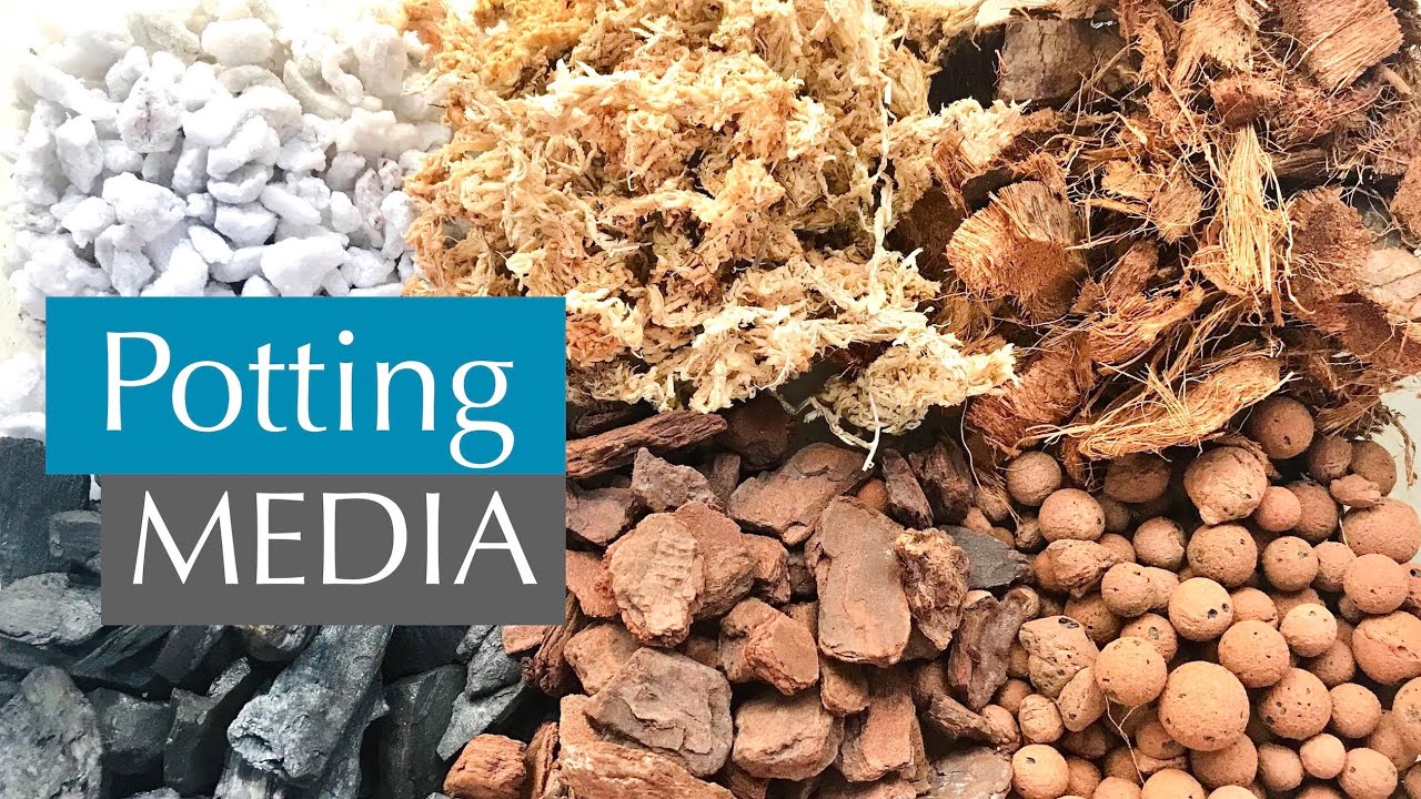 Potting Media!!