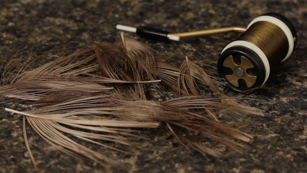 Stripping Peacock Quills