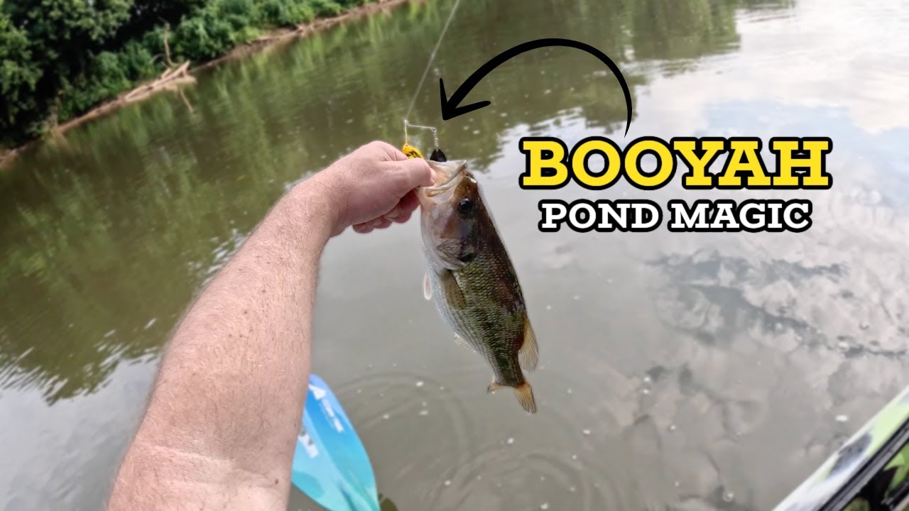 Kayak Fishing the Yadkin River - North Carolina