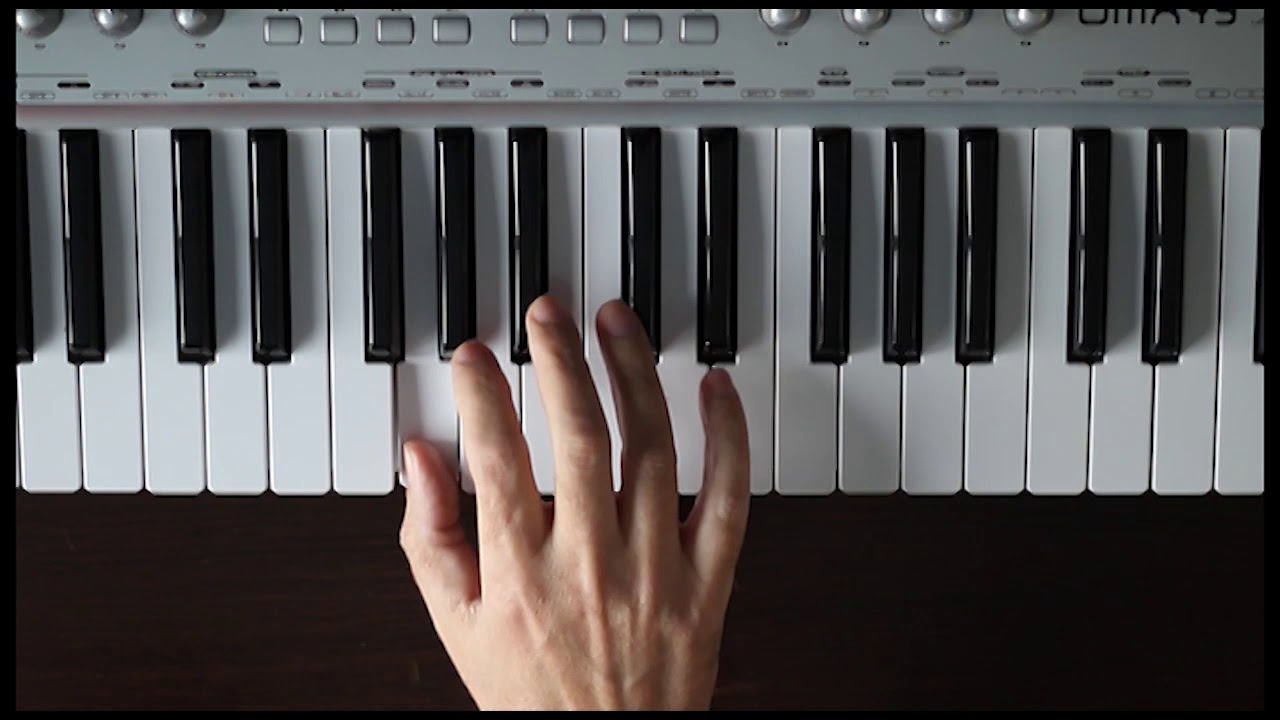 Ljubisa Pavkovic - Moj zumbule - Tutorijal