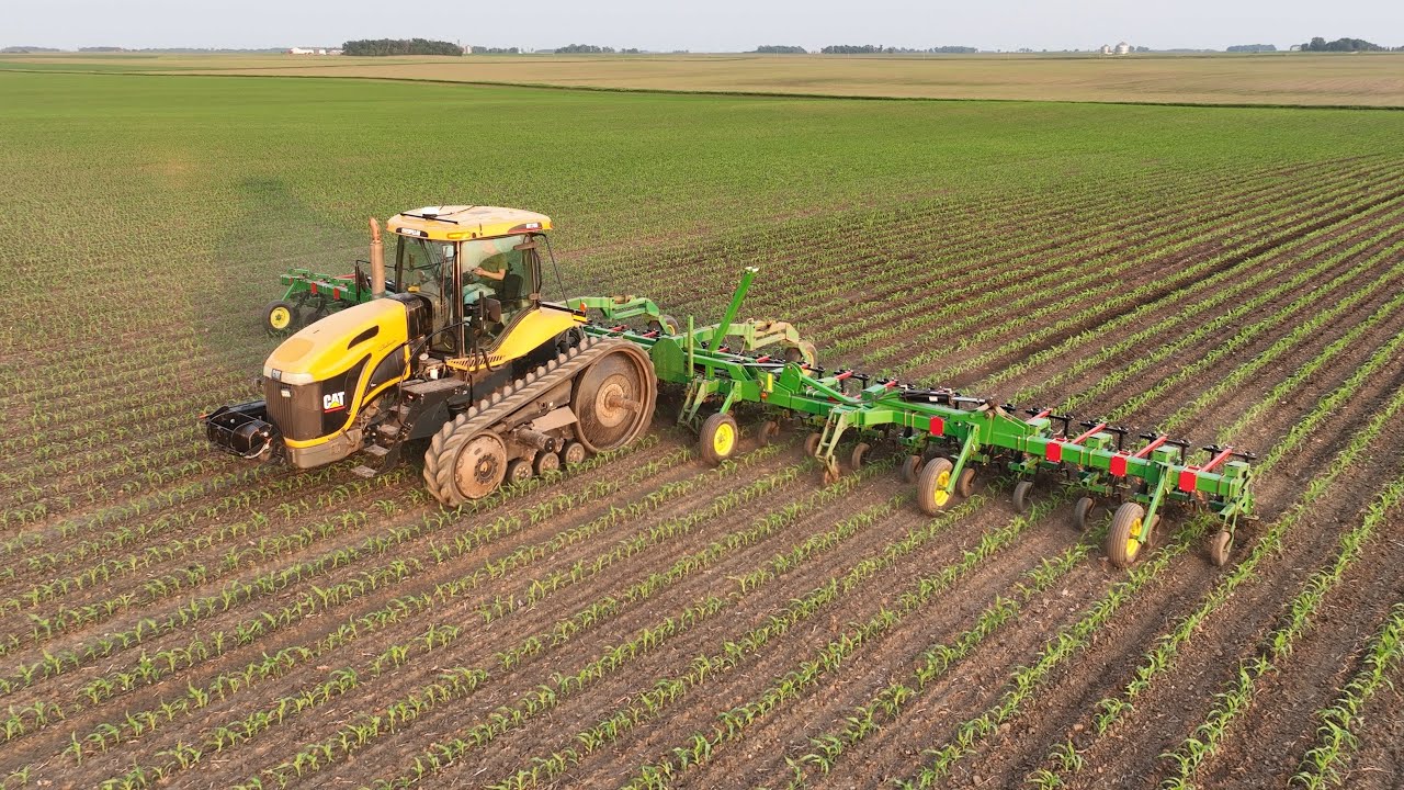 a BIG load for the CAT - Organic Cultivating