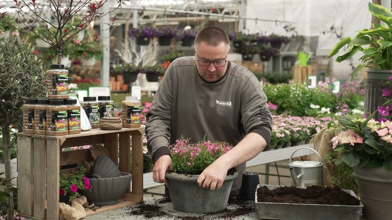 Inspiration til terrassen: Tvillingblomster i krukke