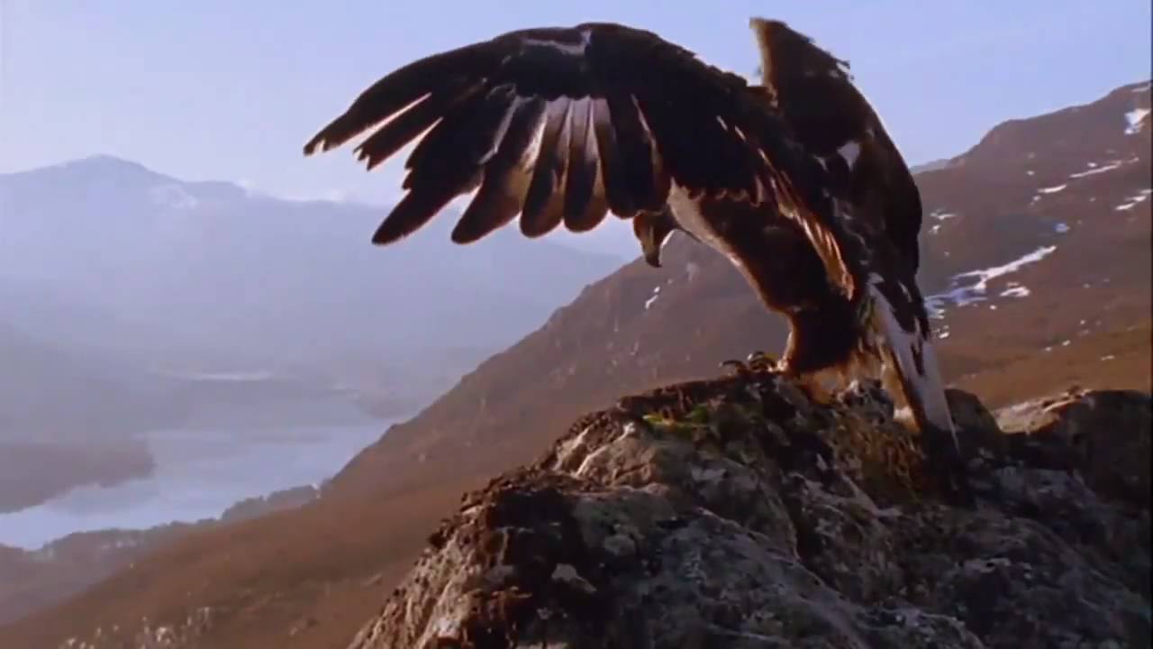 John Askew - Beirut (Original Mix) (chillout video)