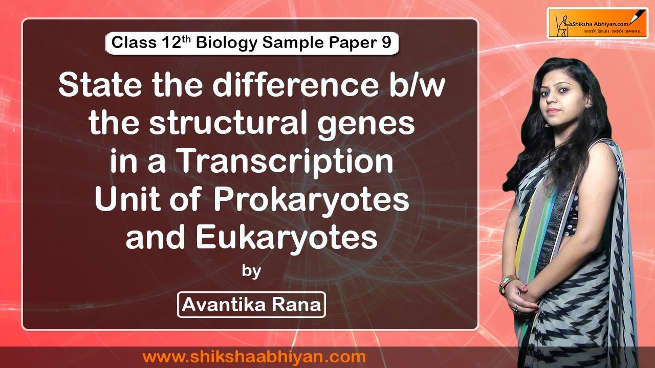 Q34 Difference between structural genes in a Transcription Unit of Prokaryotes & Eukaryotes