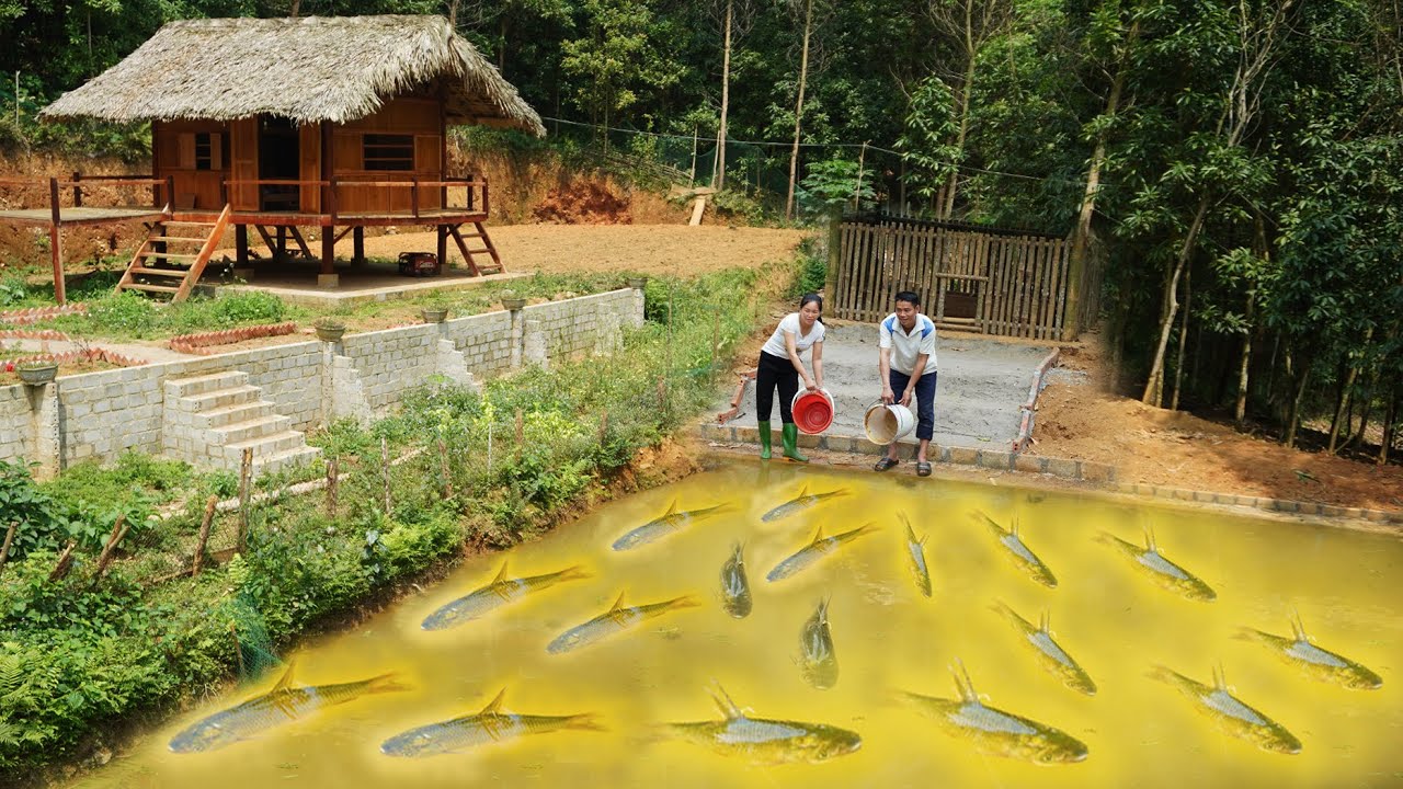 Sow seeds in the forest, Release fingerlings into the pond. 3 Year Off Grid Cabin in Forest
