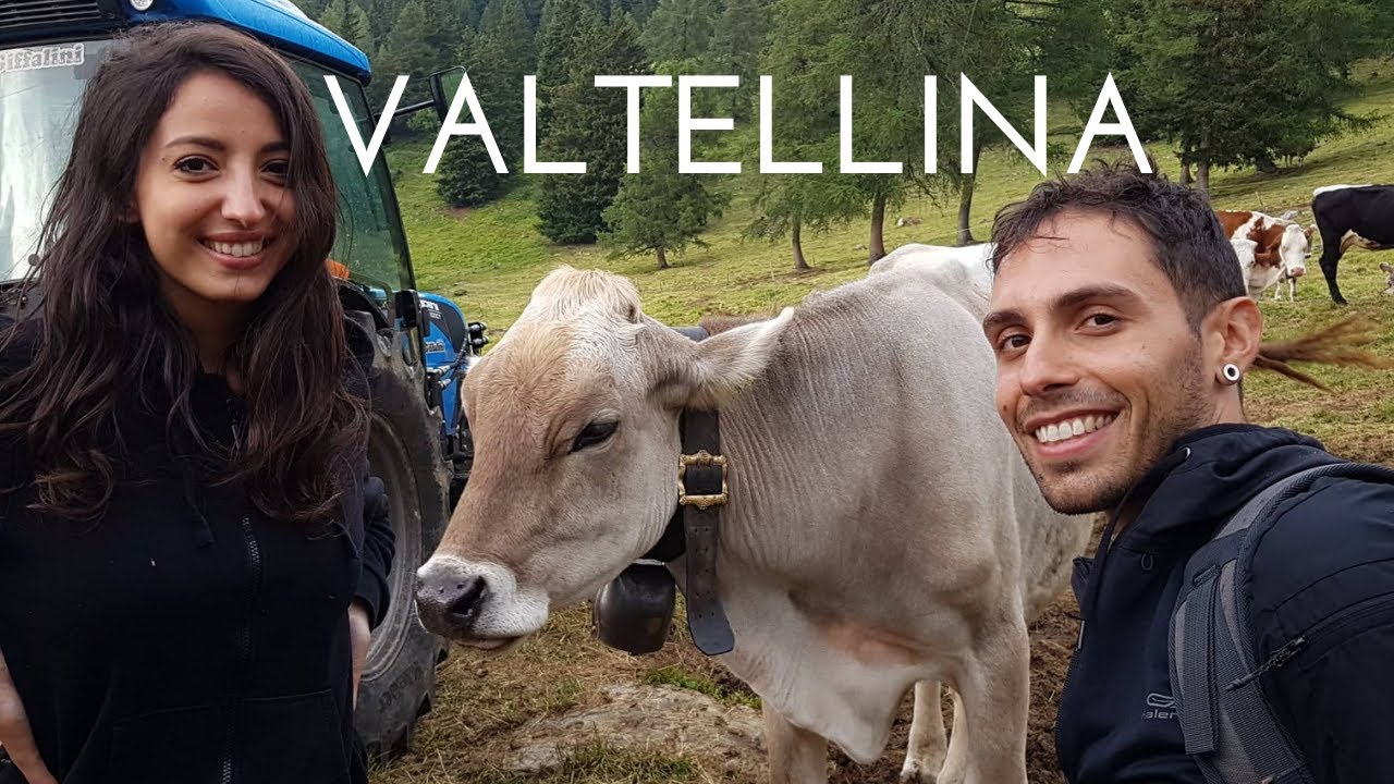 Abbiamo munto le MUCCHE 🐮 in Valtellina | Pastori per 1 giorno
