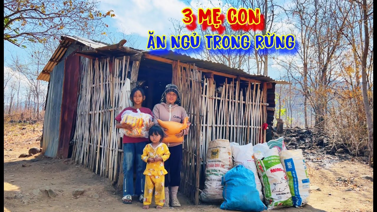 3 MẸ CON, ăn ngủ trong rừng, lụm PHÂN đổi gạo ăn, để TỒN TẠI - tập 1029