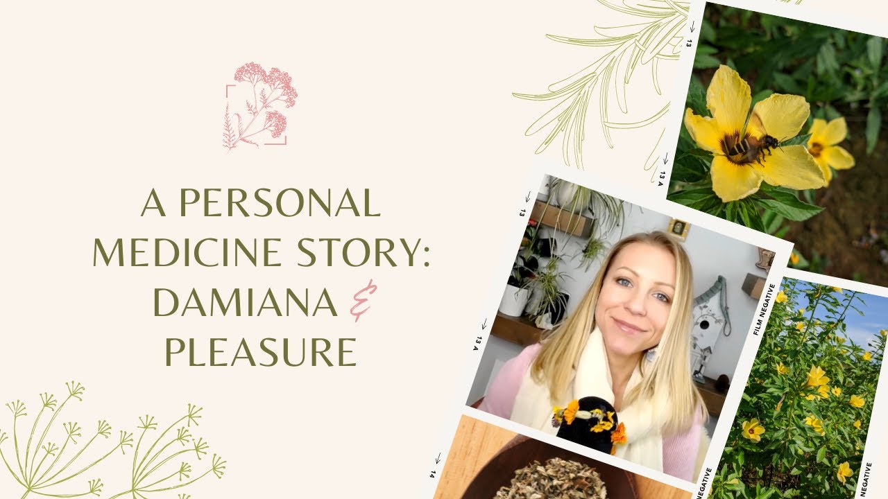A Personal Medicine Story: Damiana and Pleasure