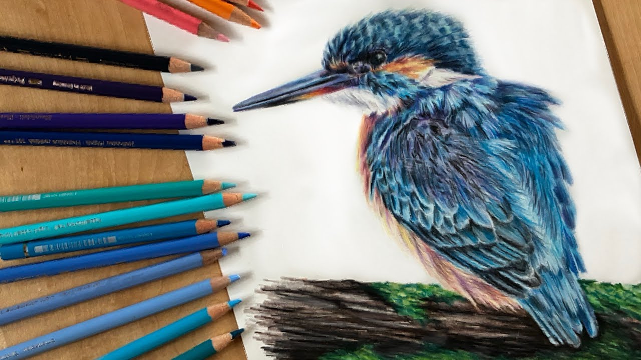 Eisvogel mit BUNTSTIFTEN - realistisch! // Ich male zum ersten Mal realistisch mit Buntstiften