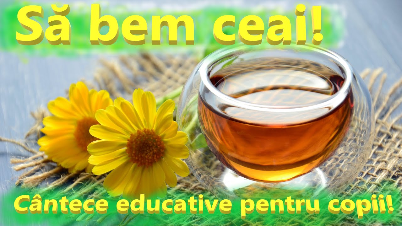 Să bem ceai! Cantece despre plante|🎷 Cantece despre natura🟨S'Mic Music