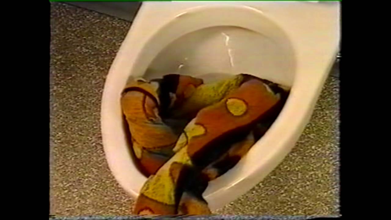 Vacuum Toilet on Bus
