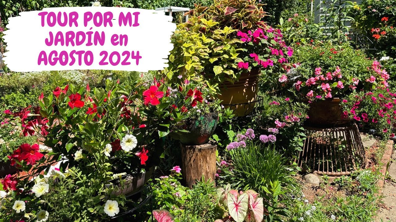 TOUR POR MI JARDÍN en AGOSTO 2024