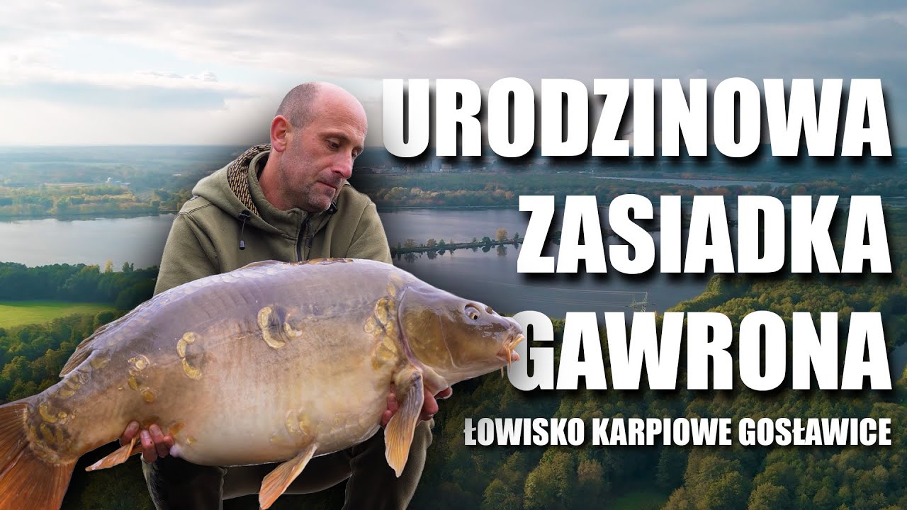 Urodzinowa Zasiadka Gawrona | Łowisko Karpiowe Gosławice