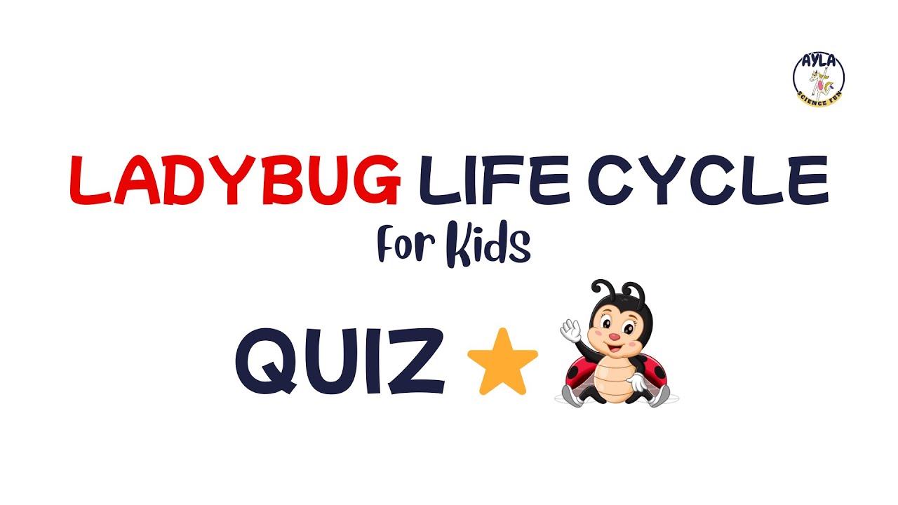 🐞 Ladybug Life Cycle for Kids | Egg, Larva, Pupa, Adult | Quiz!