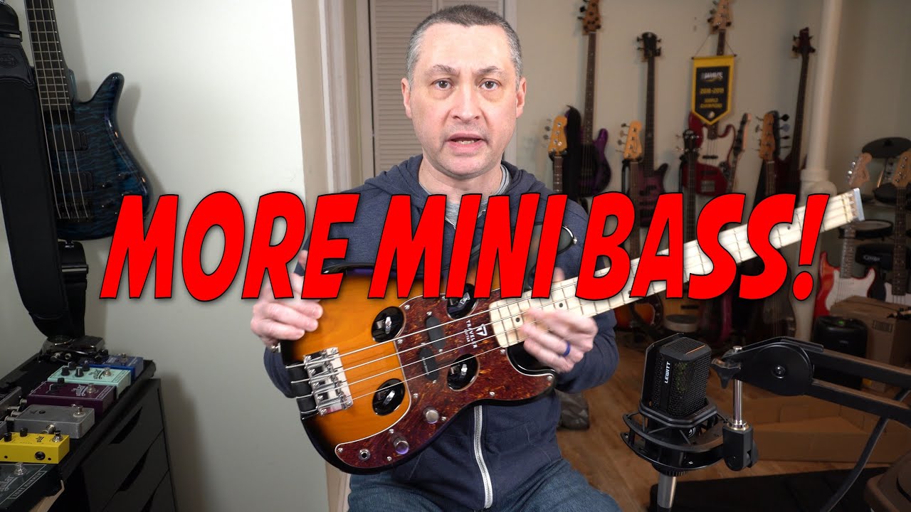 Bass Stuff: Traveler Guitar TB-4P Bass Guitar - Unboxing and First Look