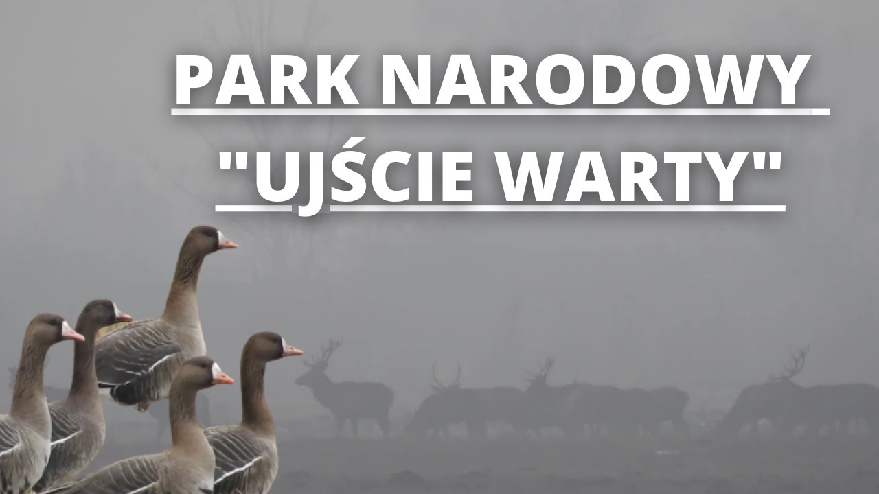 Park Narodowy 