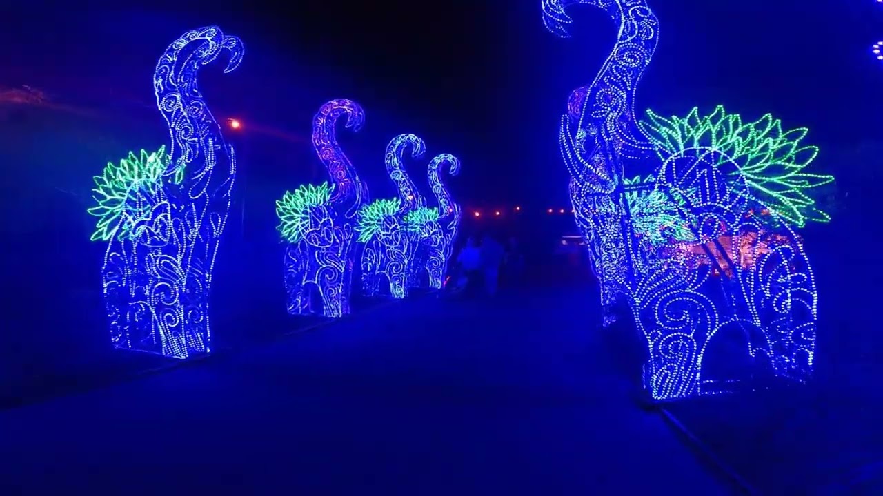 Colors Of The Wild Holiday Lantern Show at Jacksonville Zoo December 8, 2023