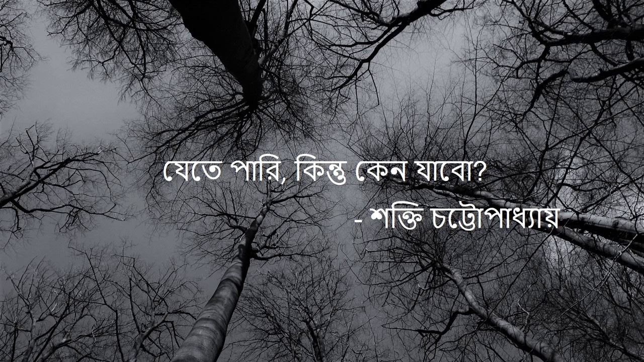 যেতে পারি কিন্তু কেন যাবো  || Jete pari kintu keno jabo || Recitation by Prantik Sinha