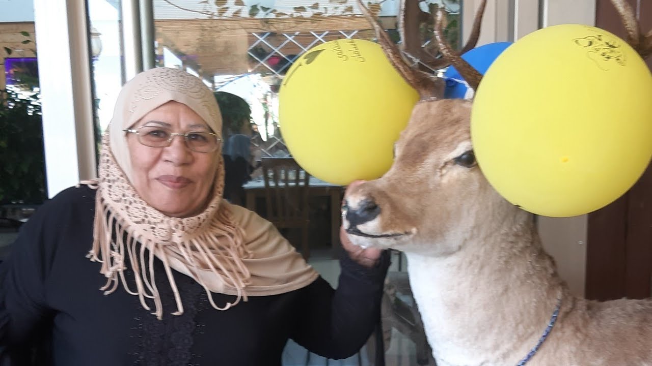 سوق الجمعه للطيور والحيوانات في السليمانية