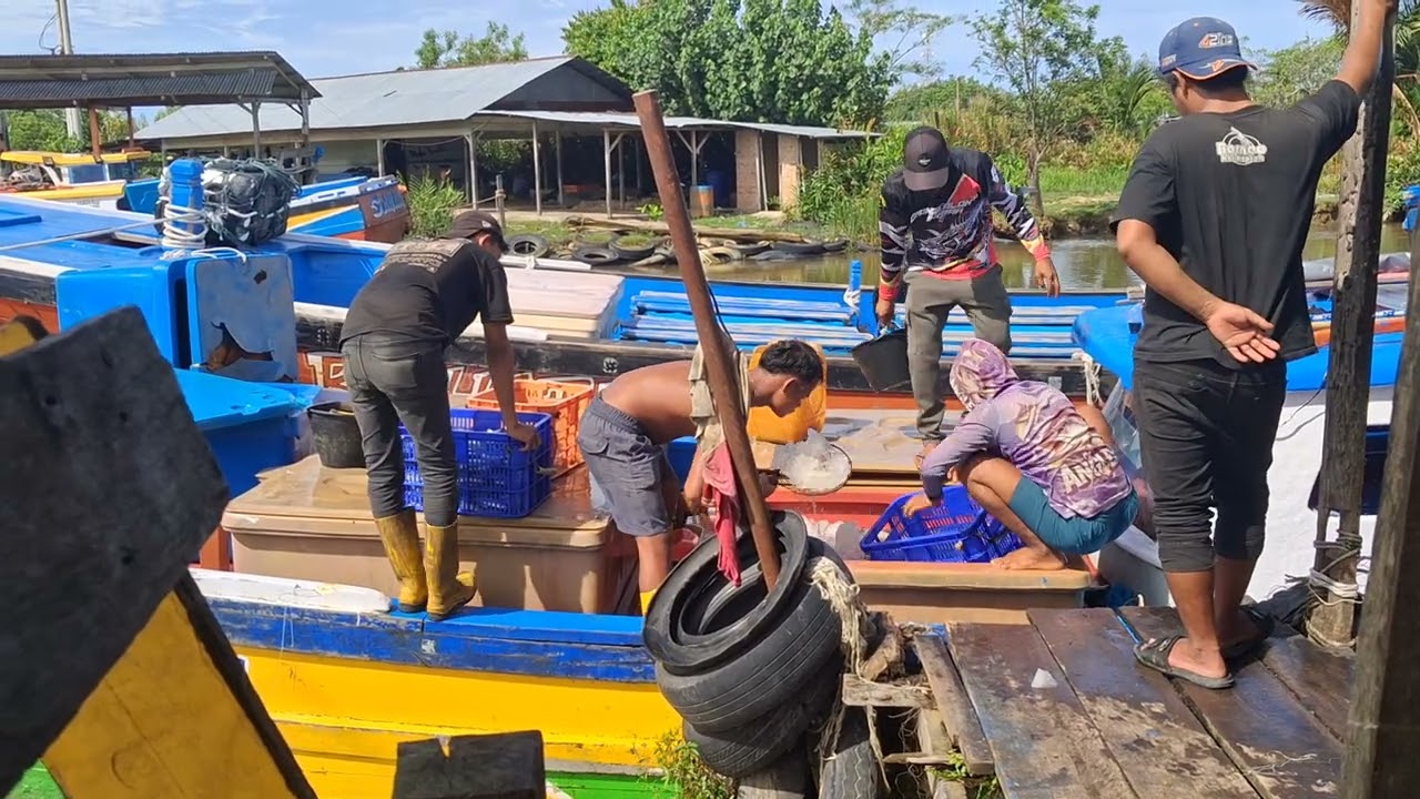 Para abang nelayan sedang bongkar ikan hasil tangkappan nya.