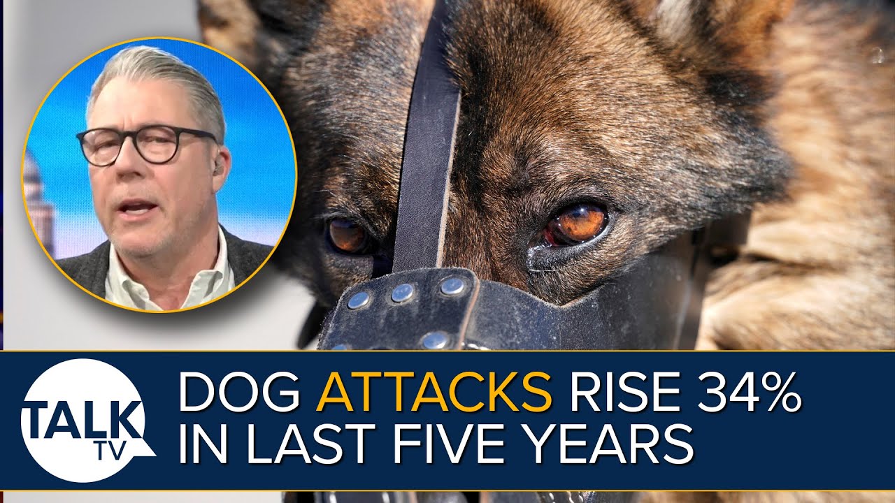 Dog ATTACKS: Massive 34% Increase Recorded by Police In England and Wales