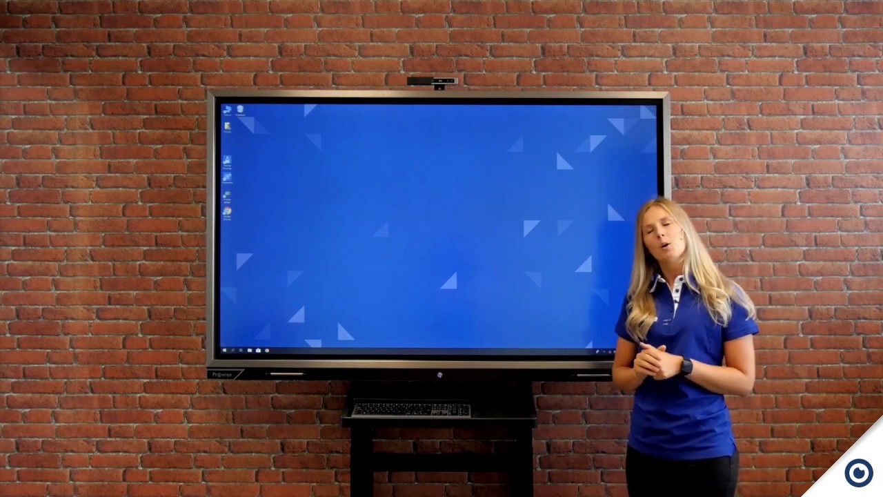 Verwendung Prowise Presenter im Browser