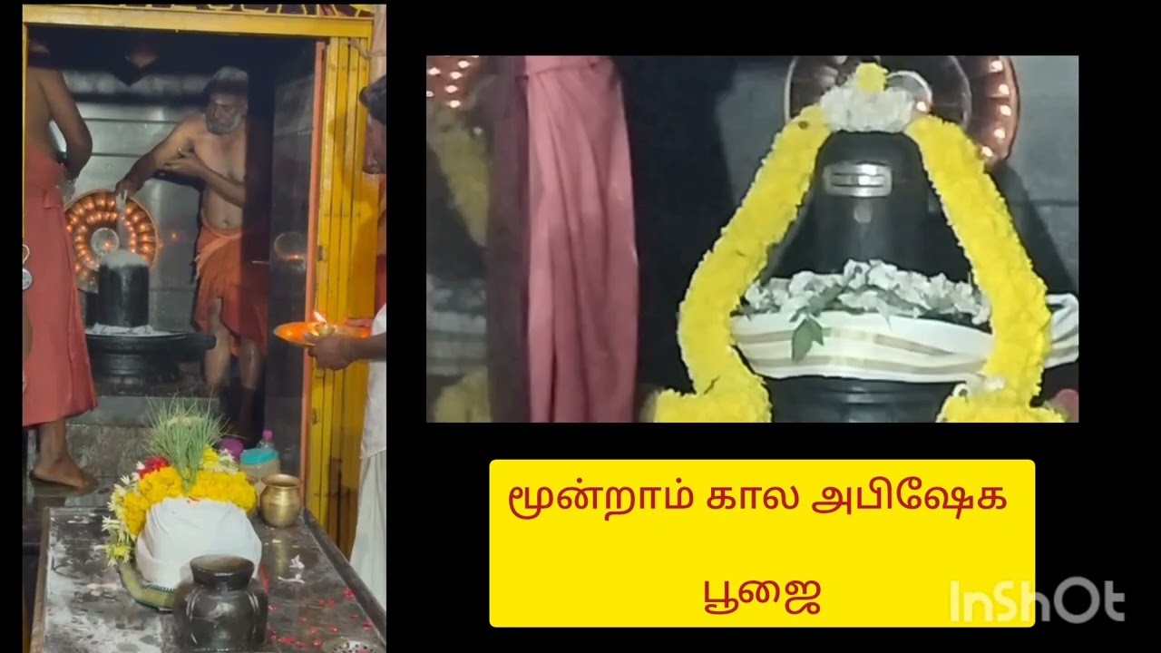 🙏 சிவராத்திரி அன்று இரவு சிவபெருமானுக்கு மூன்றாம் கால பூஜை🌿