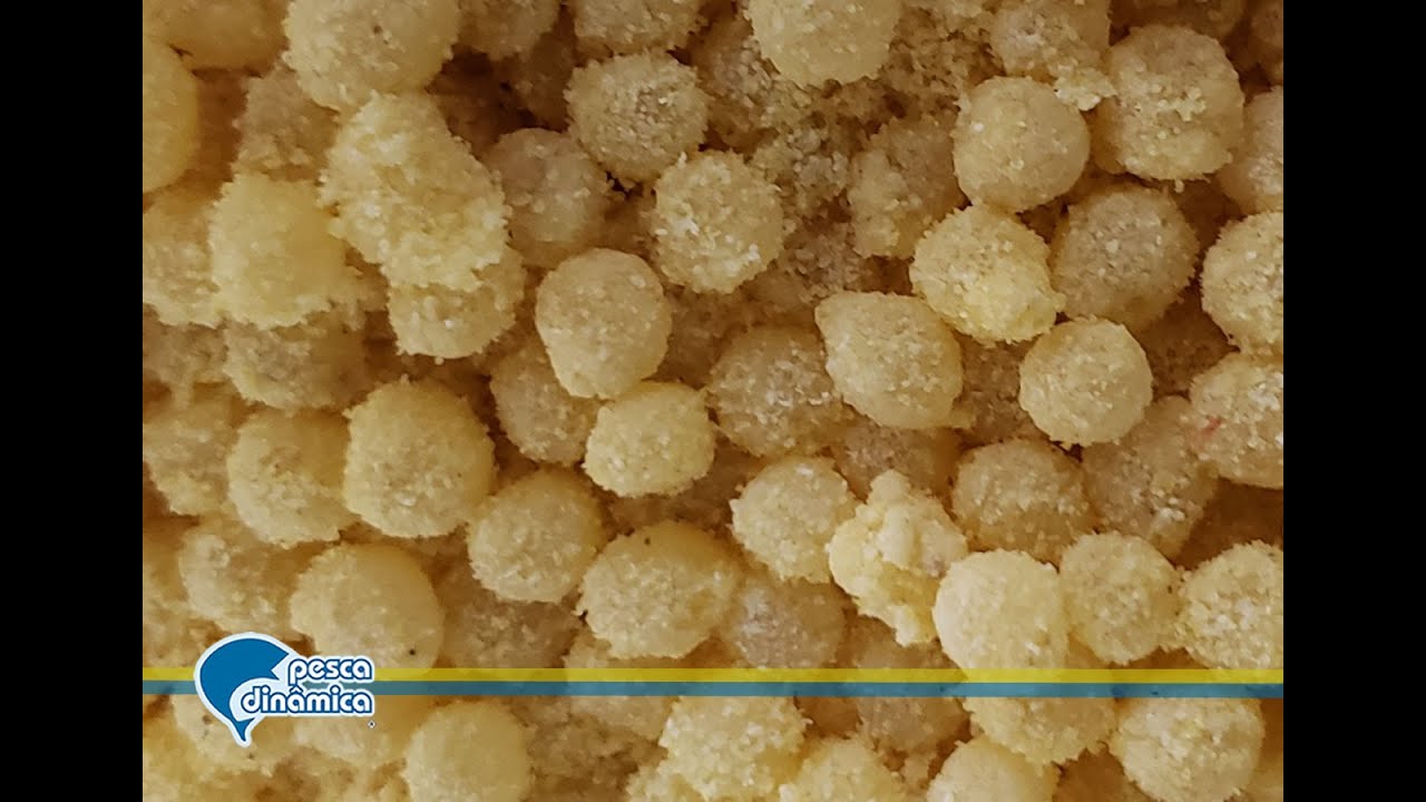 Como preparar o sagu, uma das melhores iscas para Lambaris!