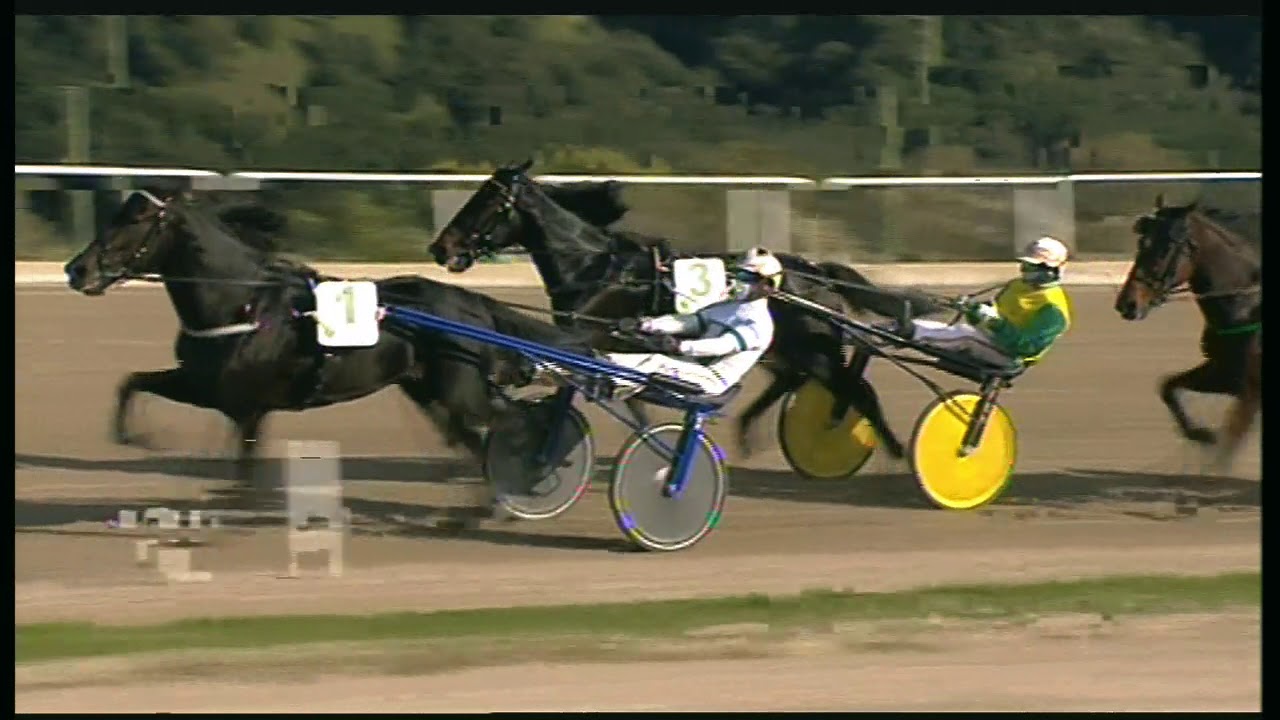 Trotto 25/10/2020 - 4ª corsa - G.P. Lotteria 3ª batteria