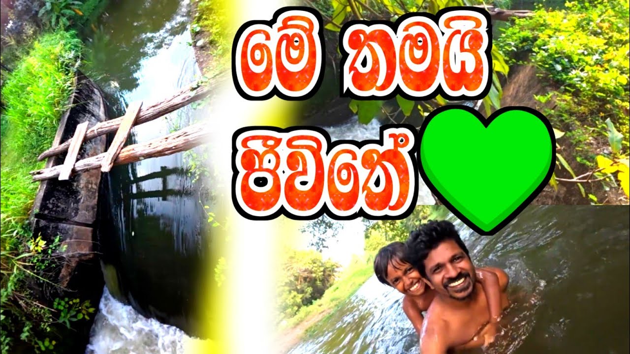 පුලතිසි පුරයේ දවසක් | ඇලේ නෑව සතුට 🏞️🎂