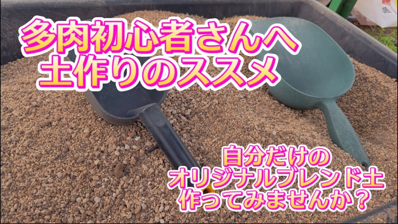 【多肉の用土作り】多肉の土は誰にでも作れます💖初心者さんも挑戦してみよう✊✨【植え替えの季節】