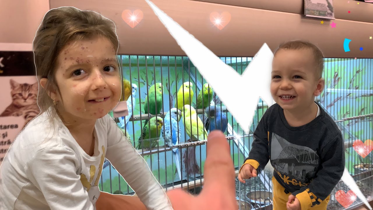 🚨 MEMBRI NOI IN FAMILIE  🦜 AM FĂCUT VĂRSAT DE VÂNT 🦠 TATA MI-A LUAT PAPAGALI 🦜