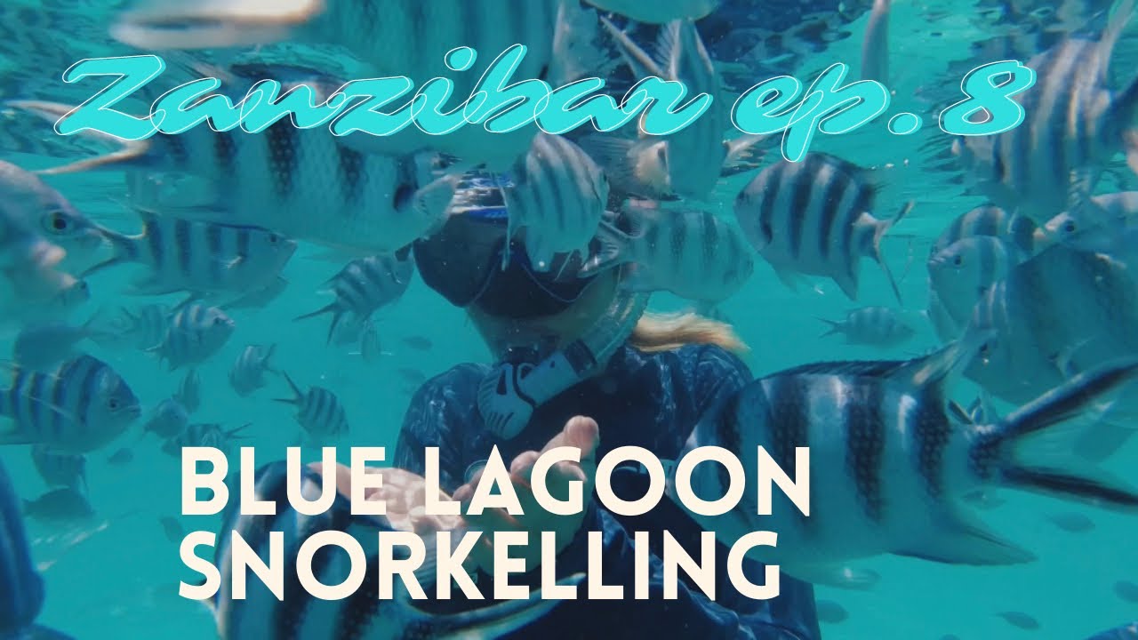 Blue Lagoon snorkelling - Zanzibar ep. 8