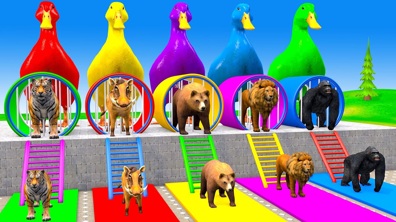 Long Slide Game With Cow Elephant Gorilla Hippopotamus Tiger 3d Animal Game Funny 3d Animals