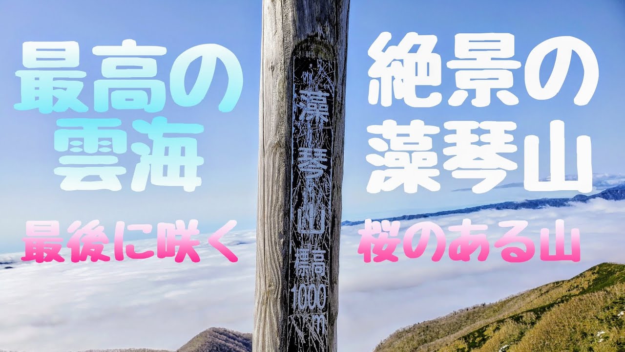 リベンジ達成！最高の雲海を堪能しながら藻琴山に登ってきたら日本で最後に咲く桜に出逢った！ #mountain #youtube #youtuber #藻琴山 #登山 #絶景 #雲海 #桜 #大自然