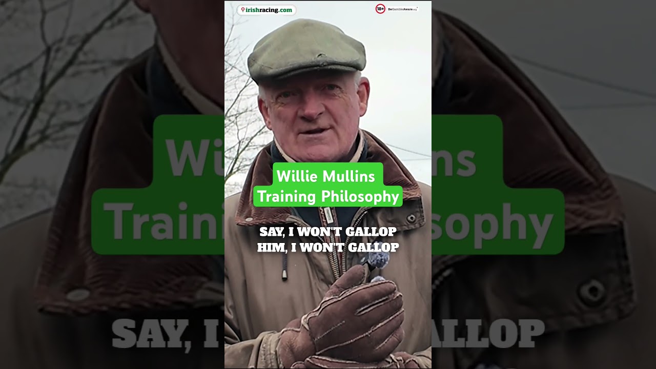 Willie Mullins tells us how much he needs to work his horses #horseracing #irishracing