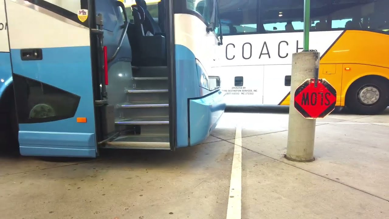 MEARS CONNECT at Orlando International Airport (MCO) to Walt Disney Dolphin Hotel