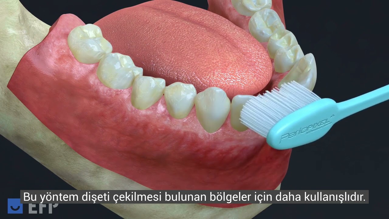 Oral Hijyen Eğitimi