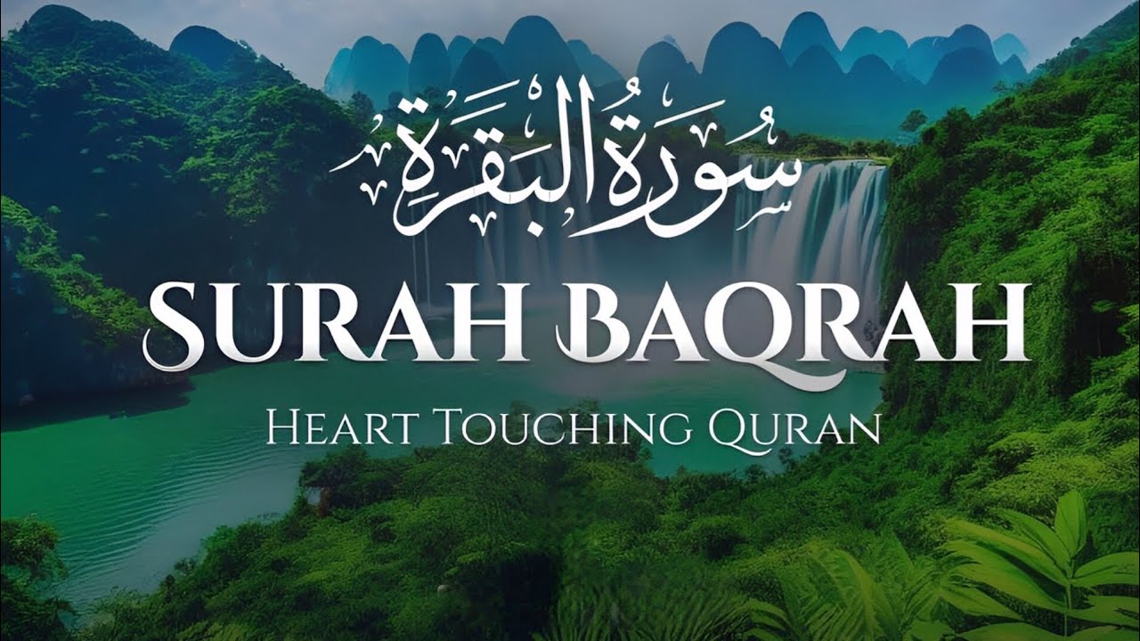 Surah Al-Baqarah Complete | Peaceful Quran Recitation|🎙️ Mishary Rashid Alafasy|