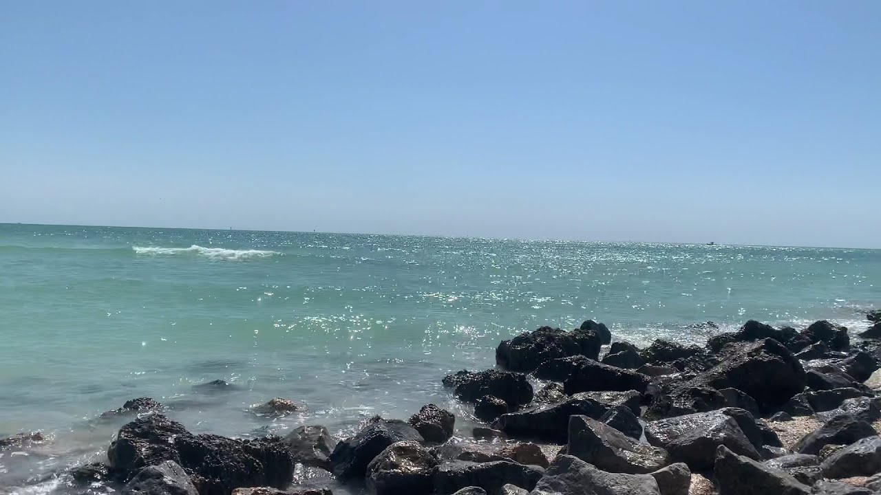 Finding Seashells on the seashore of Pass-a-grille beach Florida. A beautiful hidden gem.