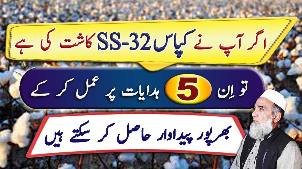 Important instructions for Cotton SS-32 variety production technology || Crop Reformer