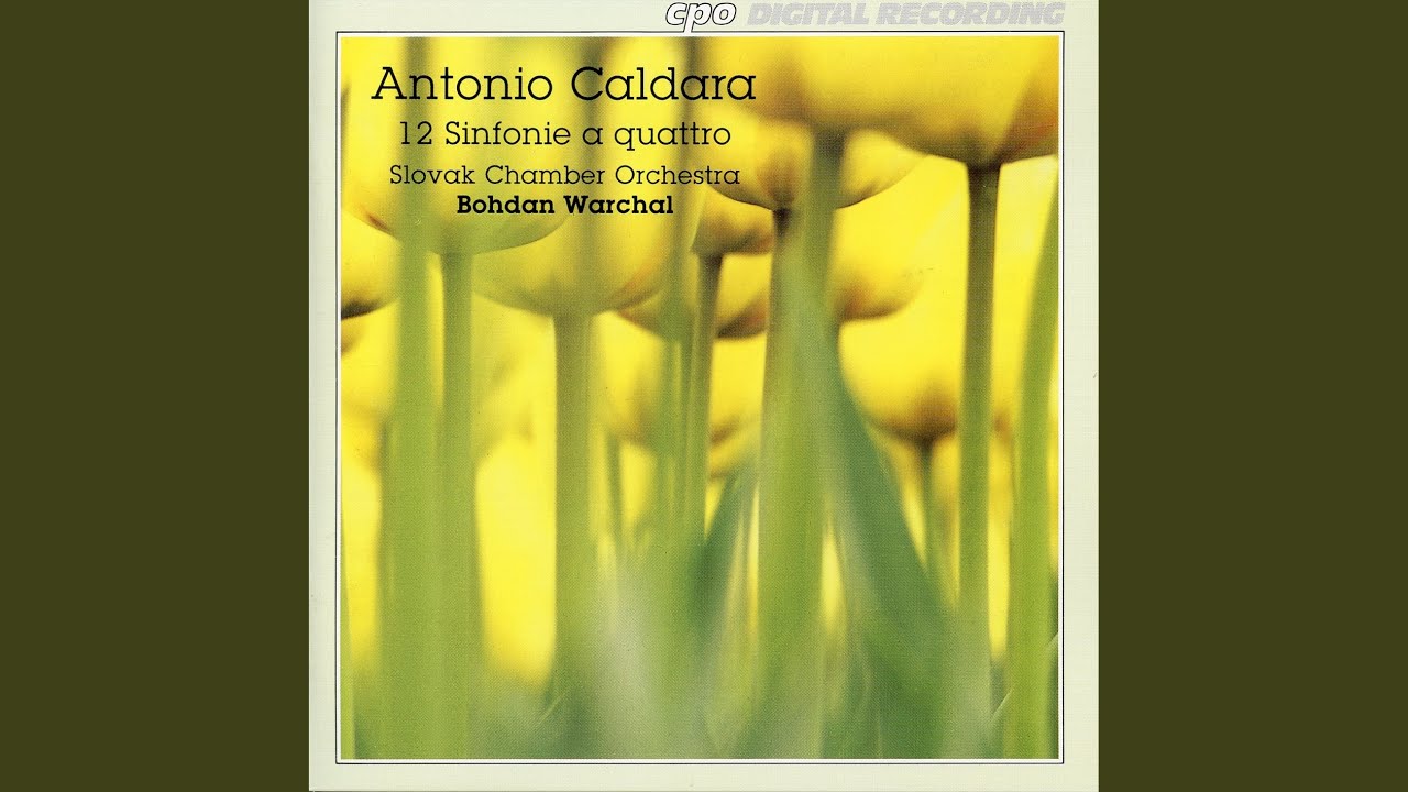 Sinfonia No. 2 in C Major (arrangement of oratorio sinfonia Il Batista) : I. Allegro assai