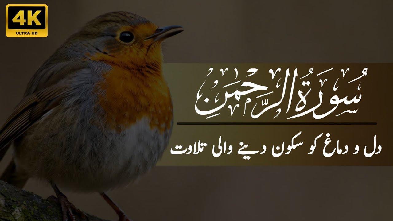 Surah Rahman Full with Urdu and Hindi Translation | Epi 001 | Qari Abdul Basit Abdul Samad