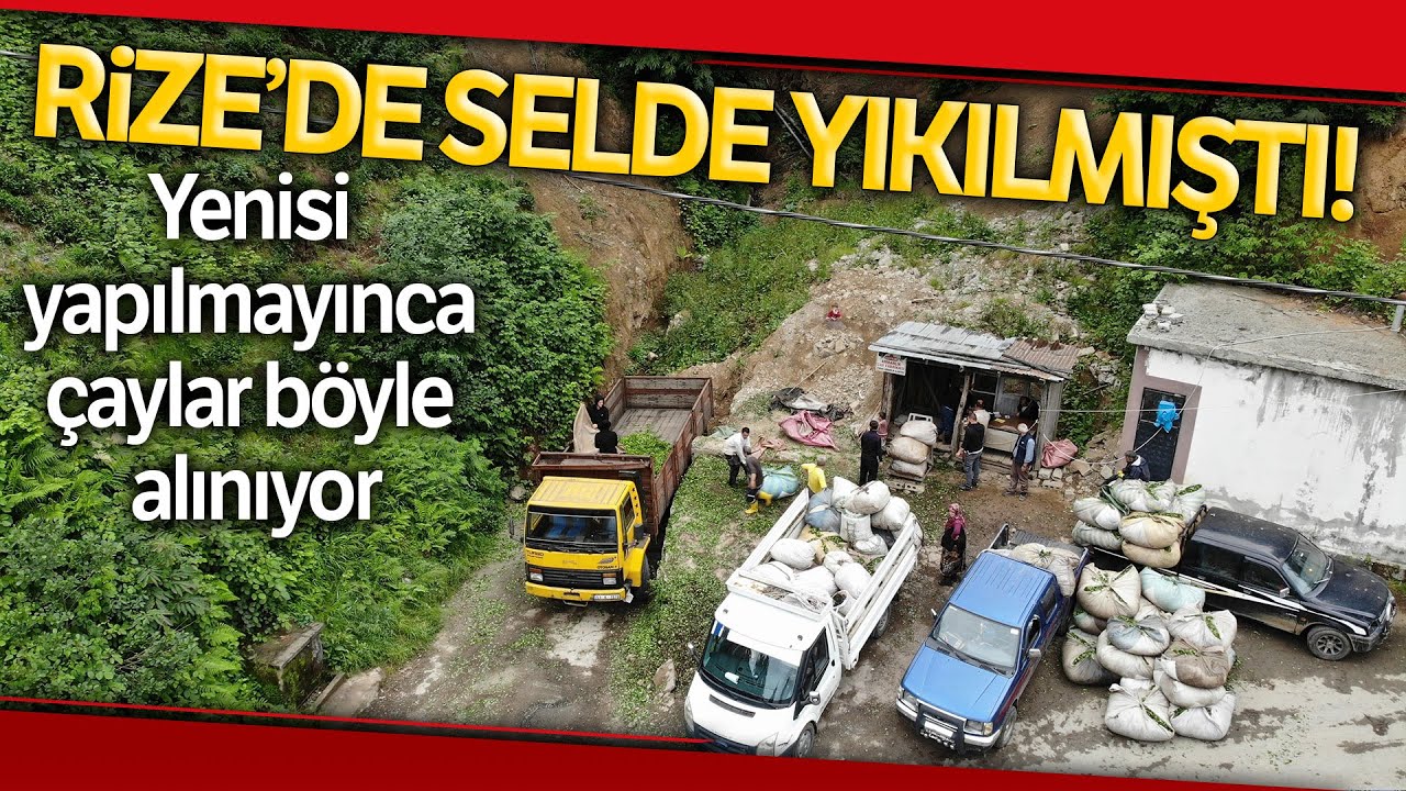 Selde Yıkılan Yaş Çay Alım Yerinin Yenisi Yapılamayınca Müstahsil Çayını Kamyon Üzeri Satıyor